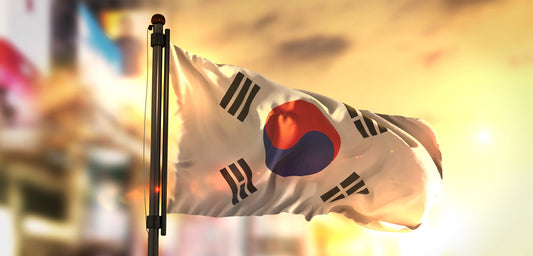 The Hallyu Wave: How Did K-Culture Get So Popular? - Hot Like Kimchi